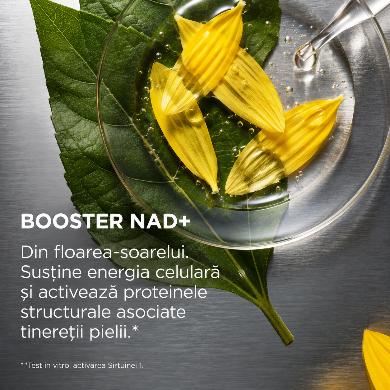sa toner ingredient activ nad